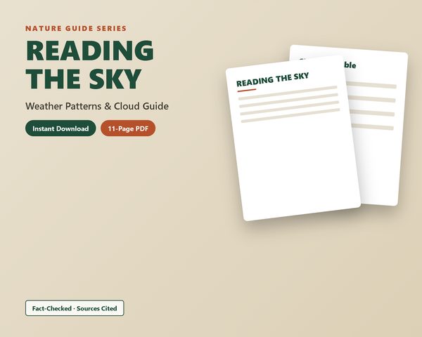 Reading the Sky: Weather Patterns & Cloud Guide