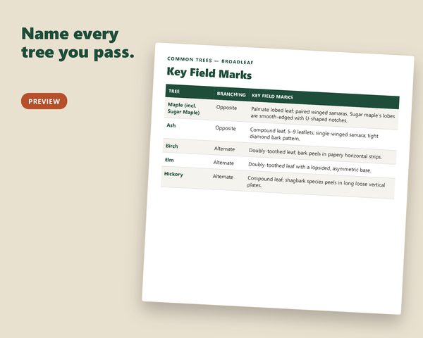 Trees & Wild Plants ID Guide — sample page preview