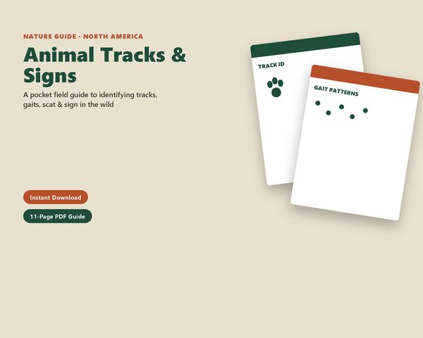 Animal Tracks & Signs, Field Guide