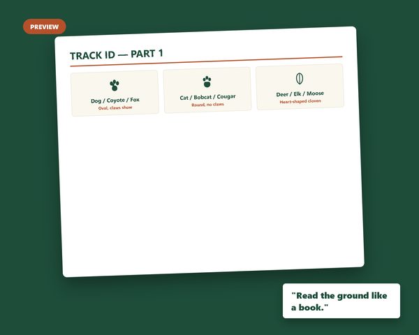 Animal Tracks & Signs, Field Guide — sample page preview