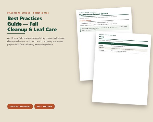Best Practices Guide: Fall Cleanup & Leaf Care